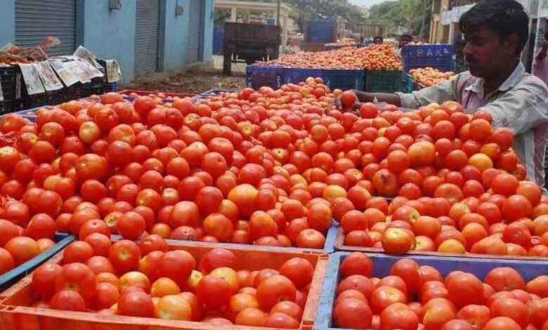 ٹماٹر کے کاشتکار کوڑی کوڑی کو محتاج۔ ایک روپیہ کلو بھی خریدار نہ ملنے پر فصل کھیتوں میں ہی سڑنے لگی