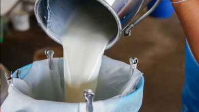 کیرالہ میں ڈیری کسانوں نے دودھ کی قیمتوں میں اضافے کا مطالبہ کیا
