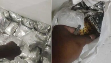 حیدرآباد میں جعلی ریسٹورنٹ کا پردہ فاش، انتہائی باسی بریانی آن لائن فروخت (ویڈیو وائرل)