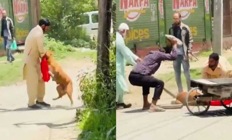 بے زبان پر بھیڑ کا ظلم، پتھروں اور ڈنڈوں سے پیٹ پیٹ کر آوارہ کتے کو ہلاک کر دیا، ویڈیو وائرل