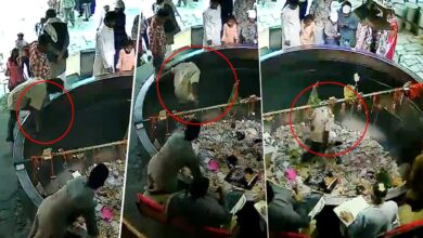 اجمیر شریف درگاہ میں سنسنی خیز واقعہ، نوجوان نے “بڑی دیگ” میں چھلانگ لگادی(ویڈیو وائرل)