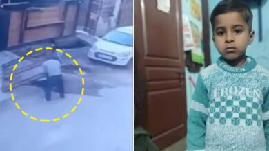 دردناک حادثہ: 5 سالہ معصوم بچے پر وزنی لوہے کا گیٹ گرنے سے موت، ویڈیو وائرل