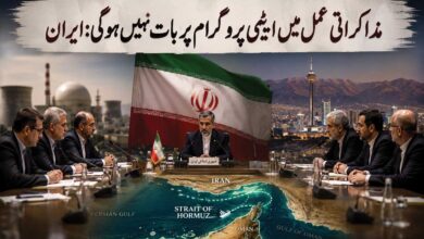 مذاکراتی عمل میں ایٹمی پروگرام پر بات نہیں ہوگی:ایران
