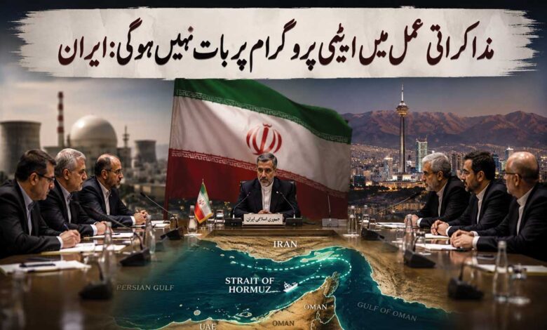 مذاکراتی عمل میں ایٹمی پروگرام پر بات نہیں ہوگی:ایران