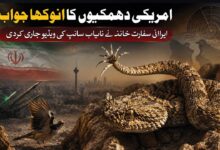 امریکی دھمکیوں کا انوکھا جواب‘ سانپ کی ویڈیو جاری