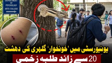 یونیورسٹی میں خونخوار گلہری کی دہشت، 20 سے زائد طلبہ زخمی (ویڈیو)