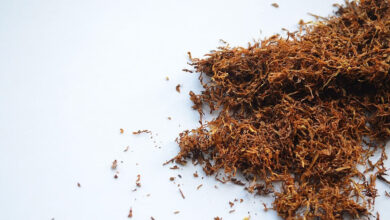 کیرالہ میں ممنوعہ تمباکو کی 15 ہزار پیکٹیں ضبط، دو افراد گرفتار
