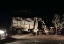 آندھرا پردیش میں شادی کی تقریب میں خوفناک حادثہ، تیز رفتار ٹرک نے افراد کو کچل دیا، 4 ہلاک، 8 زخمی