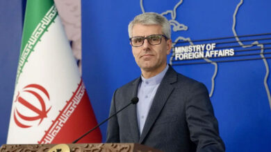 ایران نے کوئی درخواست نہیں کی: اسماعیل بقائی