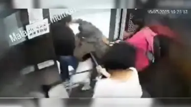 لفٹ کے اندر پالتو کتے کا کمسن لڑکیوں پر حملہ، سی سی ٹی وی فوٹیج نے رہائشیوں میں خوف و ہراس پھیلا دیا (ویڈیو)