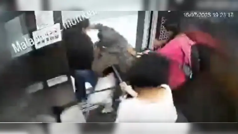 لفٹ کے اندر پالتو کتے کا کمسن لڑکیوں پر حملہ، سی سی ٹی وی فوٹیج نے رہائشیوں میں خوف و ہراس پھیلا دیا (ویڈیو)