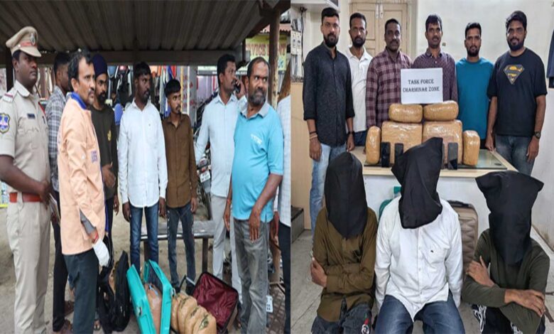 حیدرآباد پولیس کی بڑی کامیابی، لاکھوں روپے مالیت کا گانجا ضبط