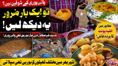 کیا آپ بھی پانی پوری کے شوقین ہیں؟ انتہائی گندگی میں بن رہی تھی پانی پوری، عطاپور میں خفیہ یونٹ کا پردہ فاش (ویڈیو)