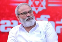 پونم کلیان کے بھائی ناگابابو کو کابینی درجہ، اے پی گرین ایگزیکٹیو کمیٹی کے چیئرمین مقرر