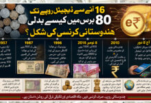 گھر بنانے کیلئے جمع کیے 5 لاکھ روپے زمین میں دفن کیے، ایک سال بعد نکالے تو دیمک نے نوٹ چٹ کر دیے