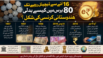 گھر بنانے کیلئے جمع کیے 5 لاکھ روپے زمین میں دفن کیے، ایک سال بعد نکالے تو دیمک نے نوٹ چٹ کر دیے