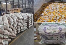 ہندوستان سے سعودی عرب بھیجی جانے والی منشیات ضبط 2 گرفتار