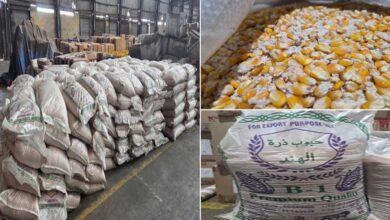 ہندوستان سے سعودی عرب بھیجی جانے والی منشیات ضبط 2 گرفتار