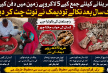 گھر بنانے کیلئے جمع کیے 5 لاکھ روپے زمین میں دفن کیے، ایک سال بعد نکالے تو دیمک نے نوٹ چٹ کر دیے (ویڈیو)