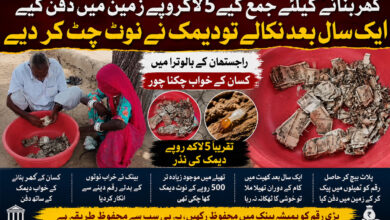 گھر بنانے کیلئے جمع کیے 5 لاکھ روپے زمین میں دفن کیے، ایک سال بعد نکالے تو دیمک نے نوٹ چٹ کر دیے (ویڈیو)