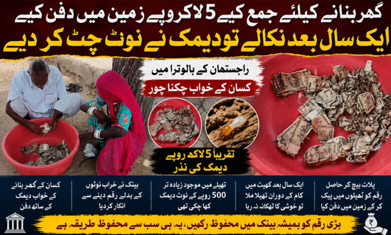 گھر بنانے کیلئے جمع کیے 5 لاکھ روپے زمین میں دفن کیے، ایک سال بعد نکالے تو دیمک نے نوٹ چٹ کر دیے (ویڈیو)