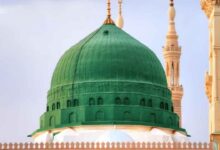 حضرت محمد ﷺ کا ثانی تو کیا سایہ بھی نہیں ہے
