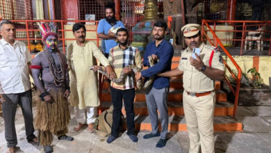 حیدرآباد میں گنیش وسرجن کے دوران ڈانس گروپ سے انڈین راک پائتھن اور مرغی برآمد
