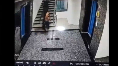 منی کونڈا میں چڈی گینگ کی دہشت، اپارٹمنٹ میں گھس کر چوری