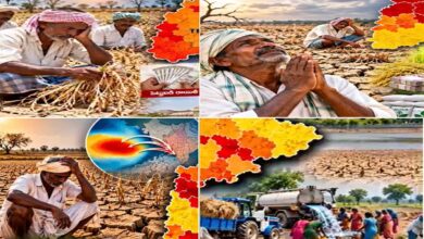 تلنگانہ حکومت نے 365 منڈلوں کو خشک سالی سے متاثرہ قراردیا