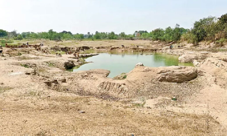 تلنگانہ میں ماہی پروری محکمہ پر 133 کروڑ روپے ضائع کرنے کا الزام، خشک تالابوں میں مچھلی کے بیج چھوڑنے کی تیاری